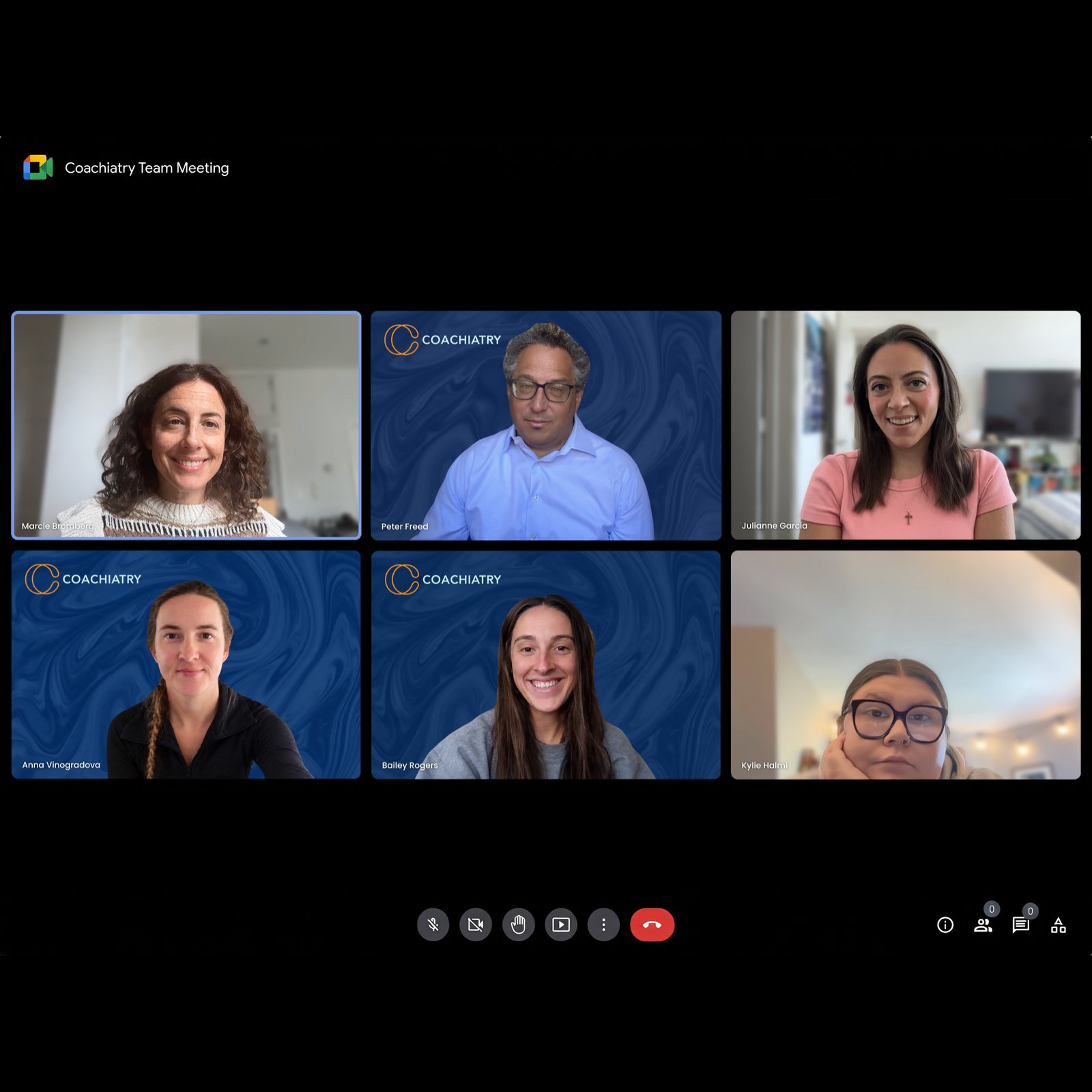 The Coachiatry team together on a video call